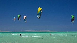 11659451_927517100643085_2689518470546936979_n